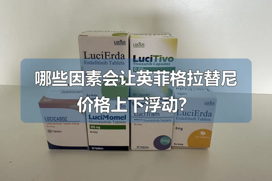 哪些因素会让英菲格拉替尼价格上下浮动？
